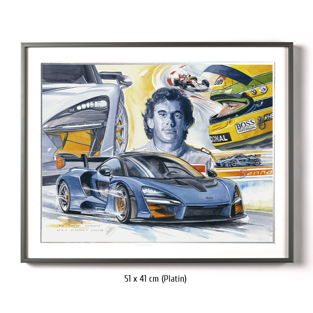 #0807 McLaren « Senna »