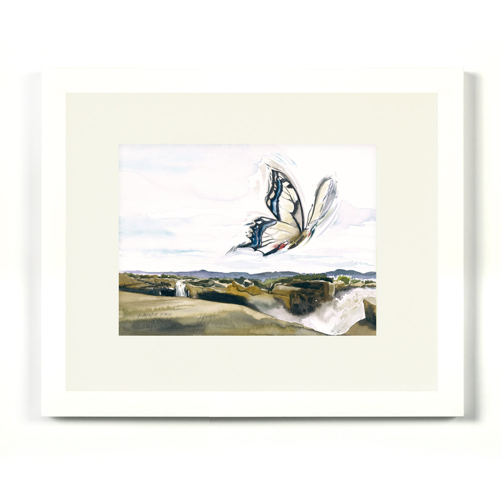 #1031 Chutes d'Augrabie
