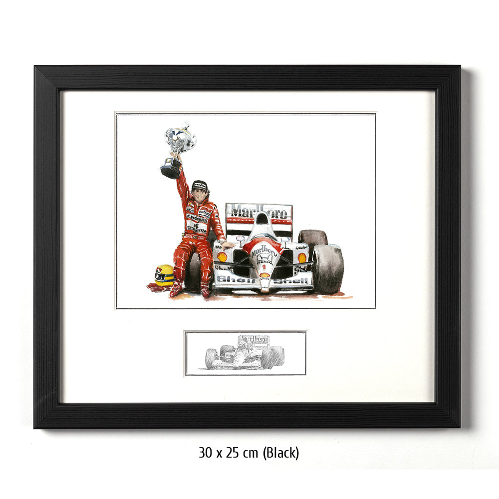 #0211 Ayrton Senna, 'Paixao Imbatativel'