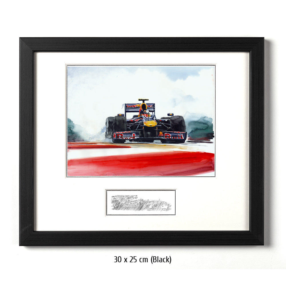 #0287 Red Bull Renault F1 2010 de Sebastian Vettel