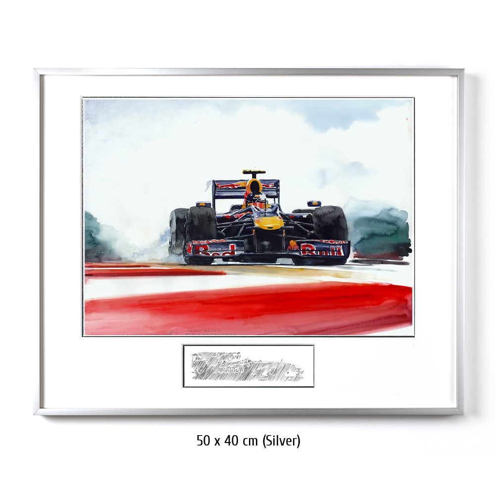 #0287 Red Bull Renault F1 2010 de Sebastian Vettel