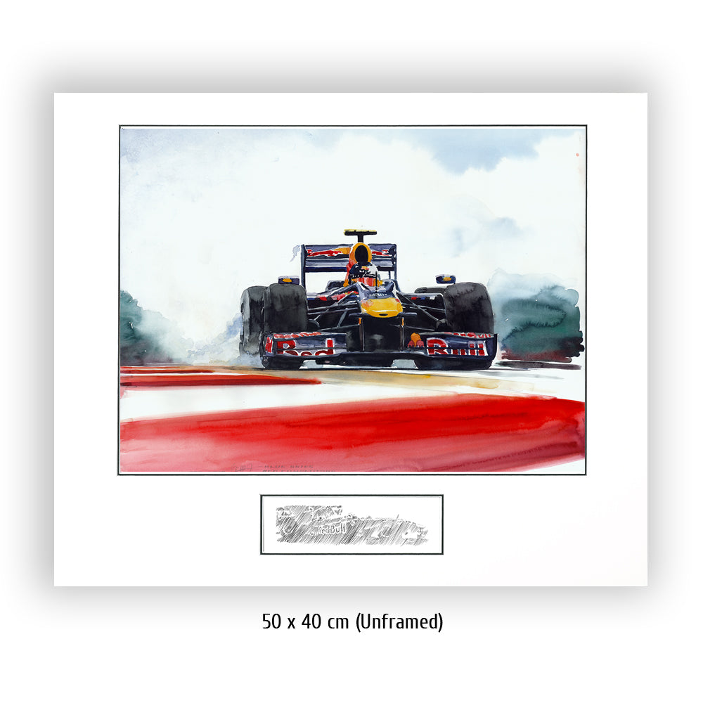 #0287 Red Bull Renault F1 2010 de Sebastian Vettel