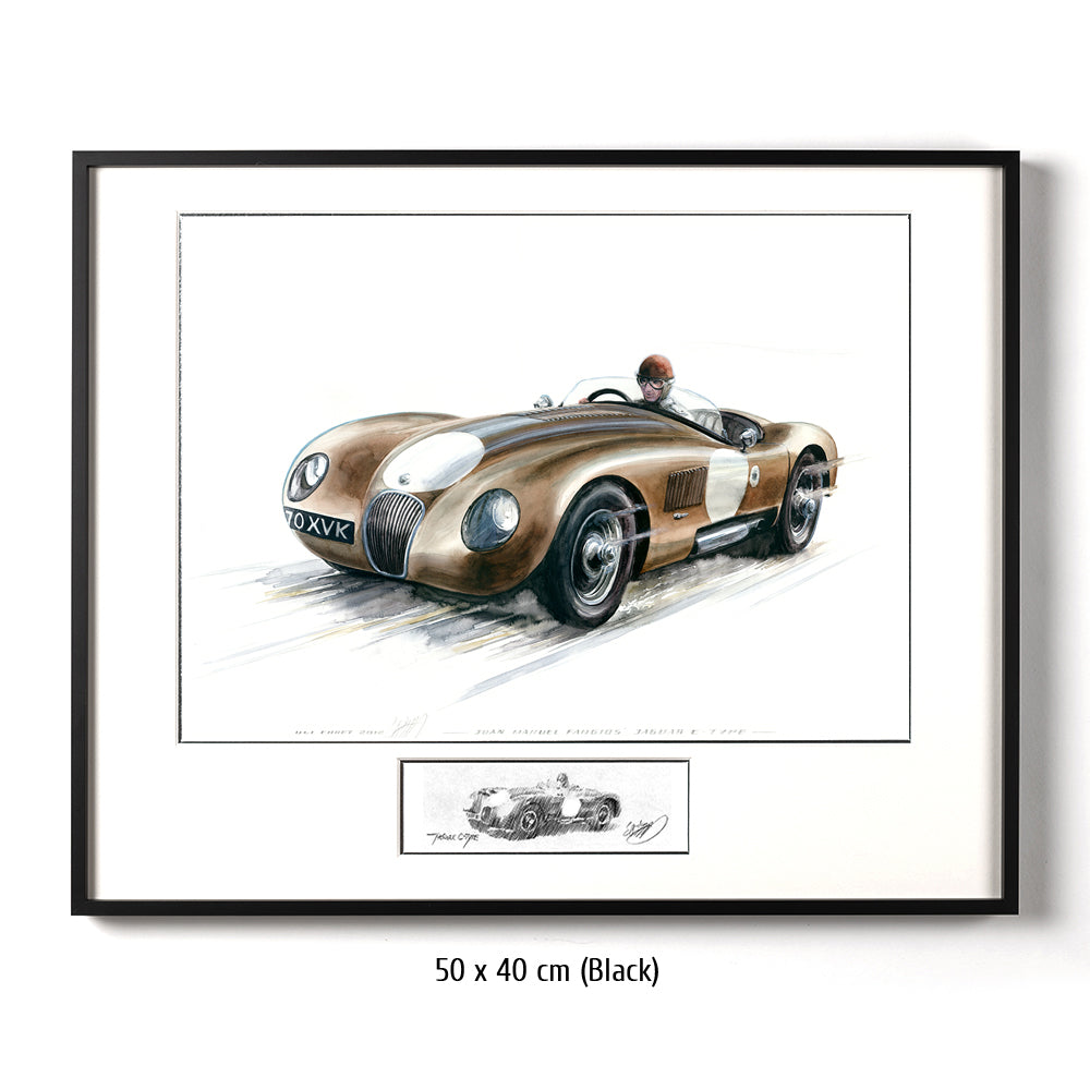 #0382 Jaguar Type C de Juan Manuel Fangio
