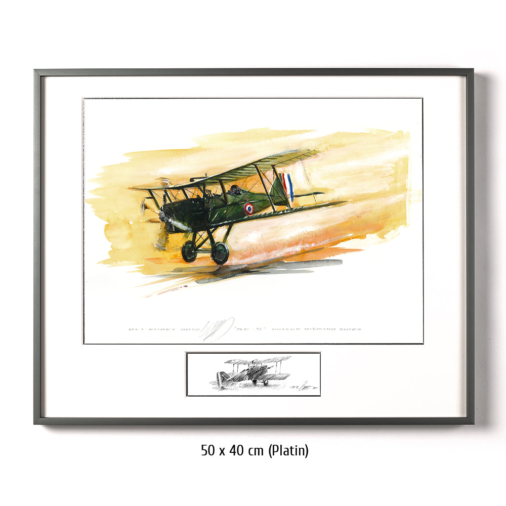 #0422 SE 5 Avion aérien