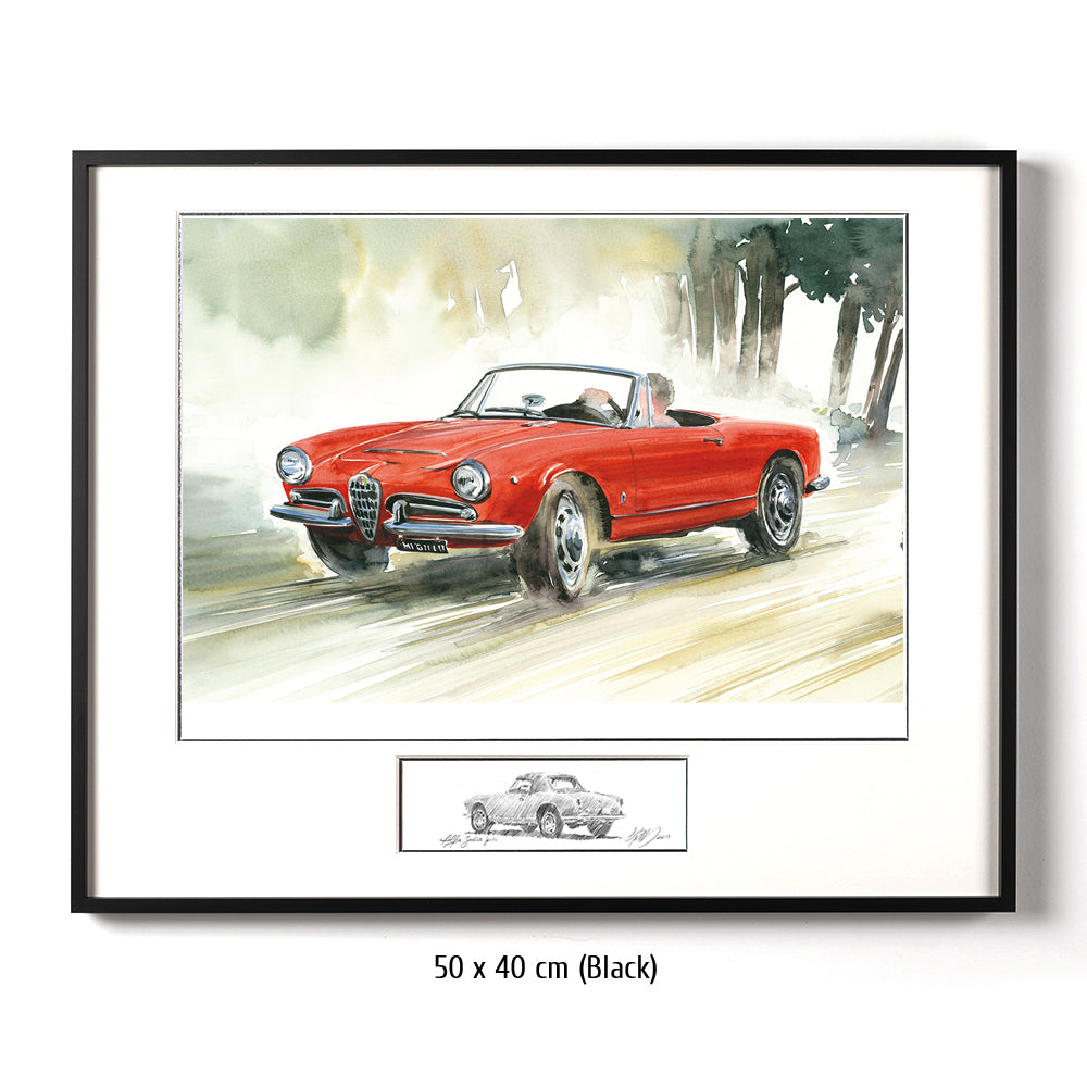 #0430A Alfa Romeo Giulia Araignée