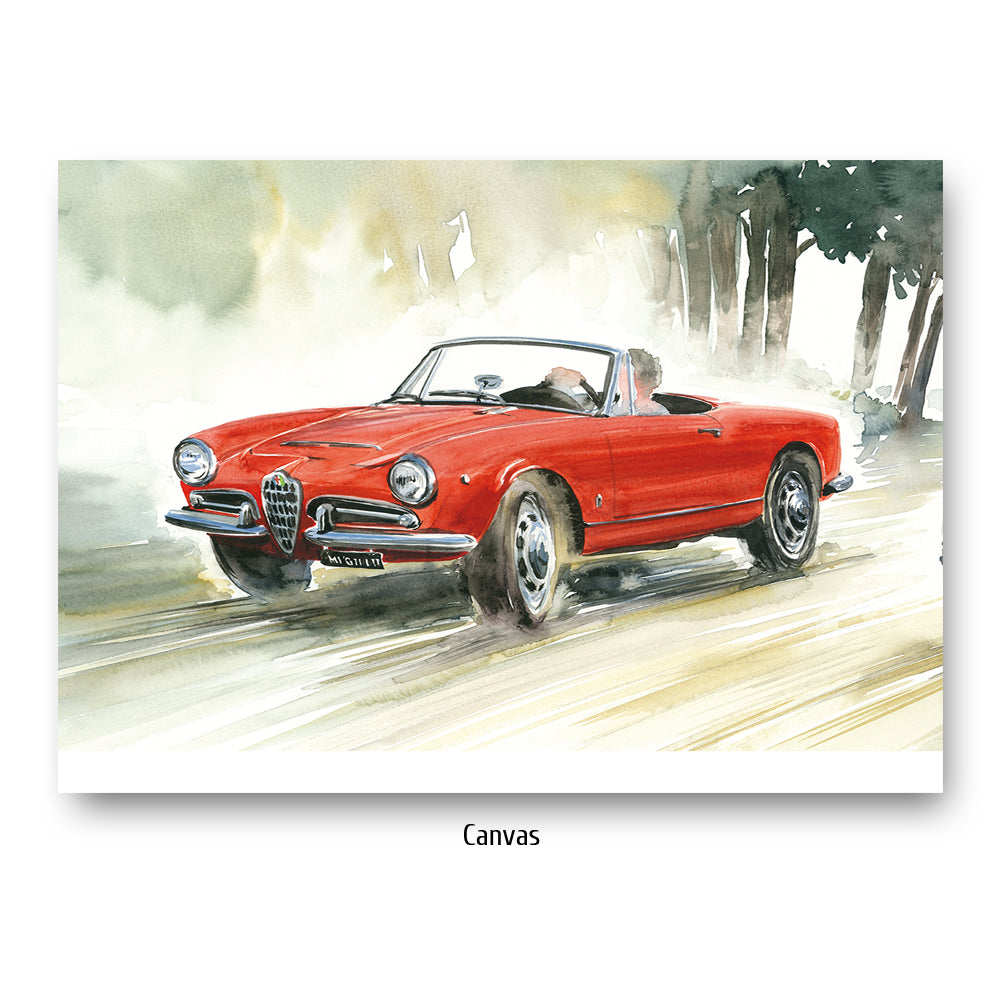 #0430A Alfa Romeo Giulia Araignée