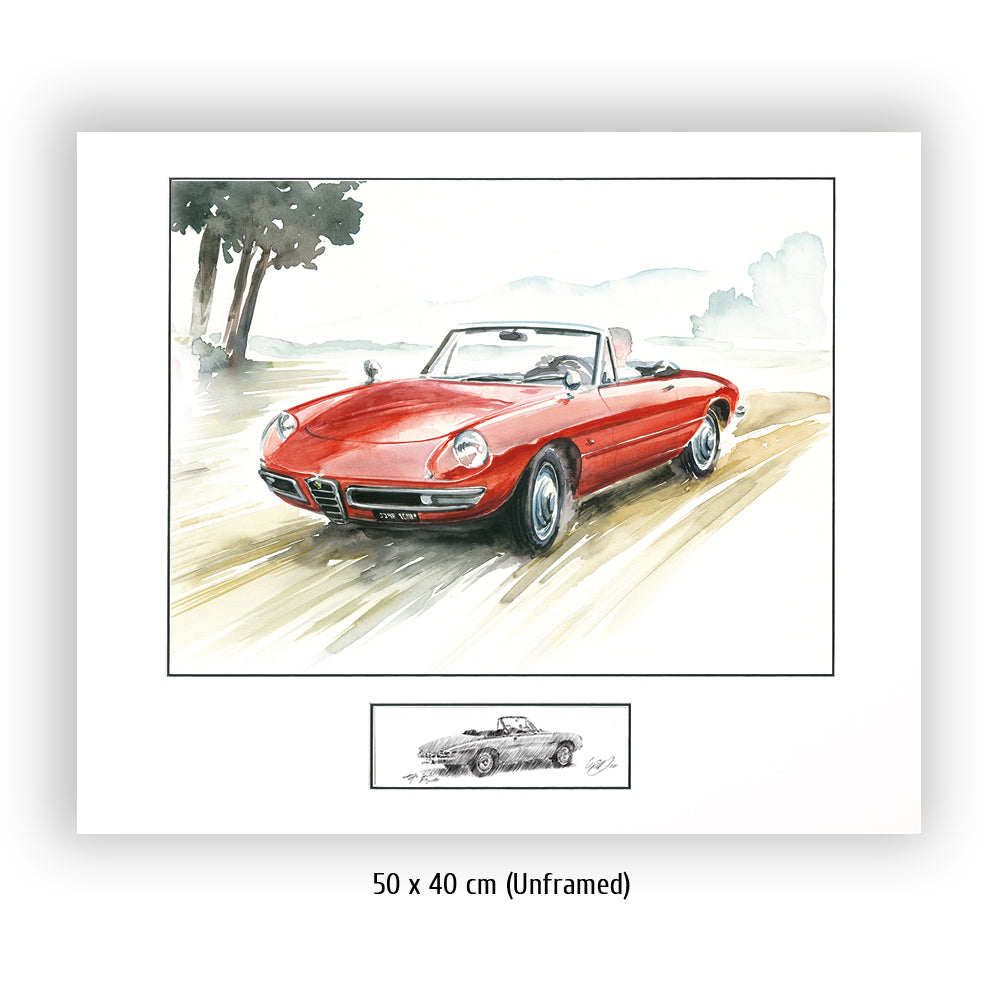 #0430B Alfa Romeo Dueto Araignée