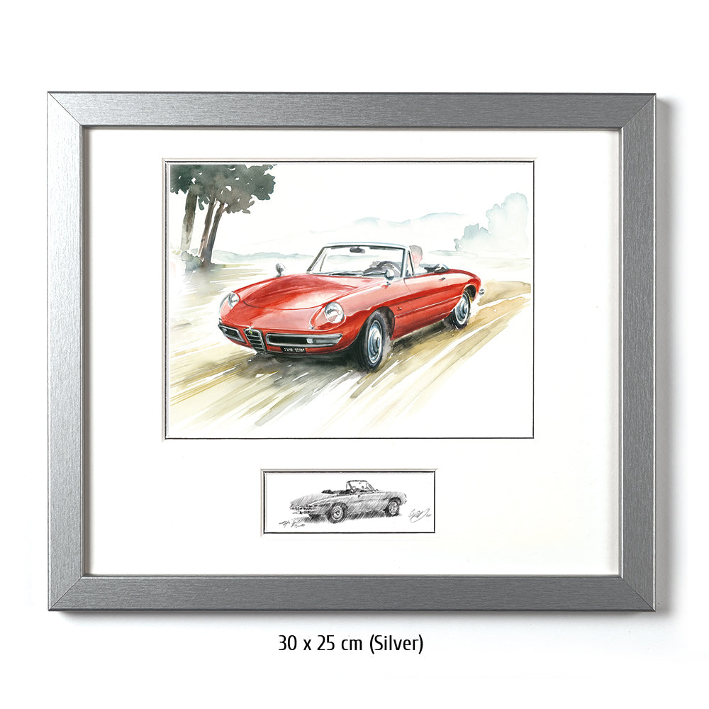 #0430B Alfa Romeo Dueto Araignée