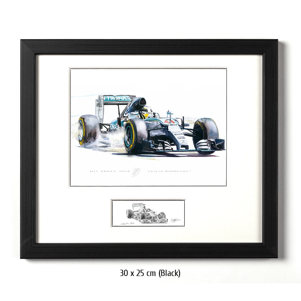 #0569 Mercedes-Benz W06, Formule 1