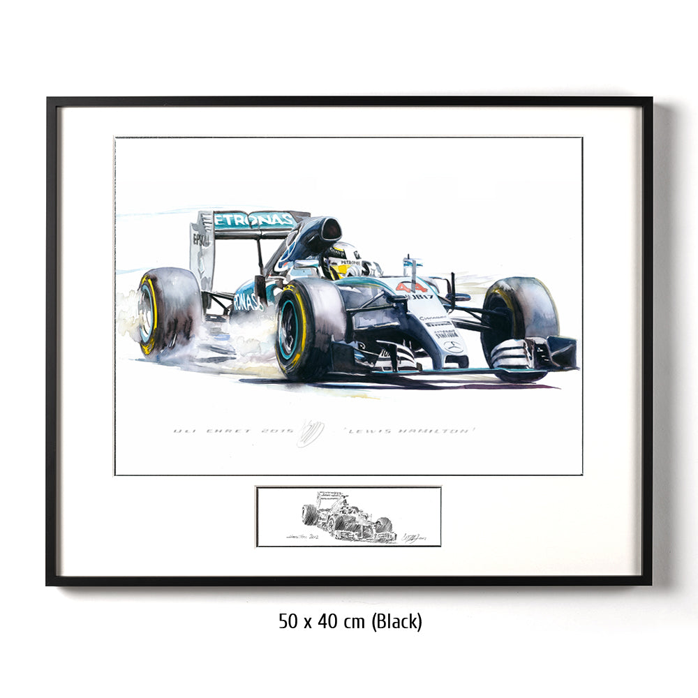 #0569 Mercedes-Benz W06, Formule 1