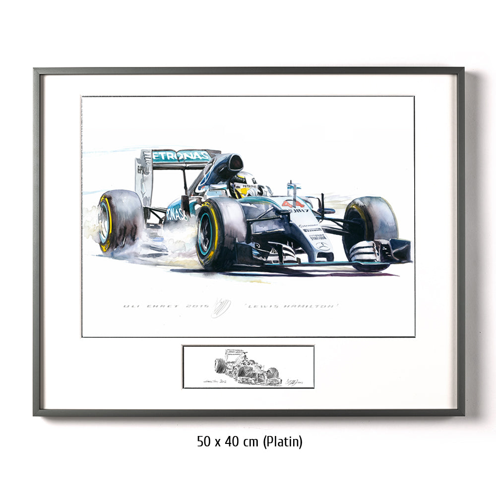 #0569 Mercedes-Benz W06, Formule 1