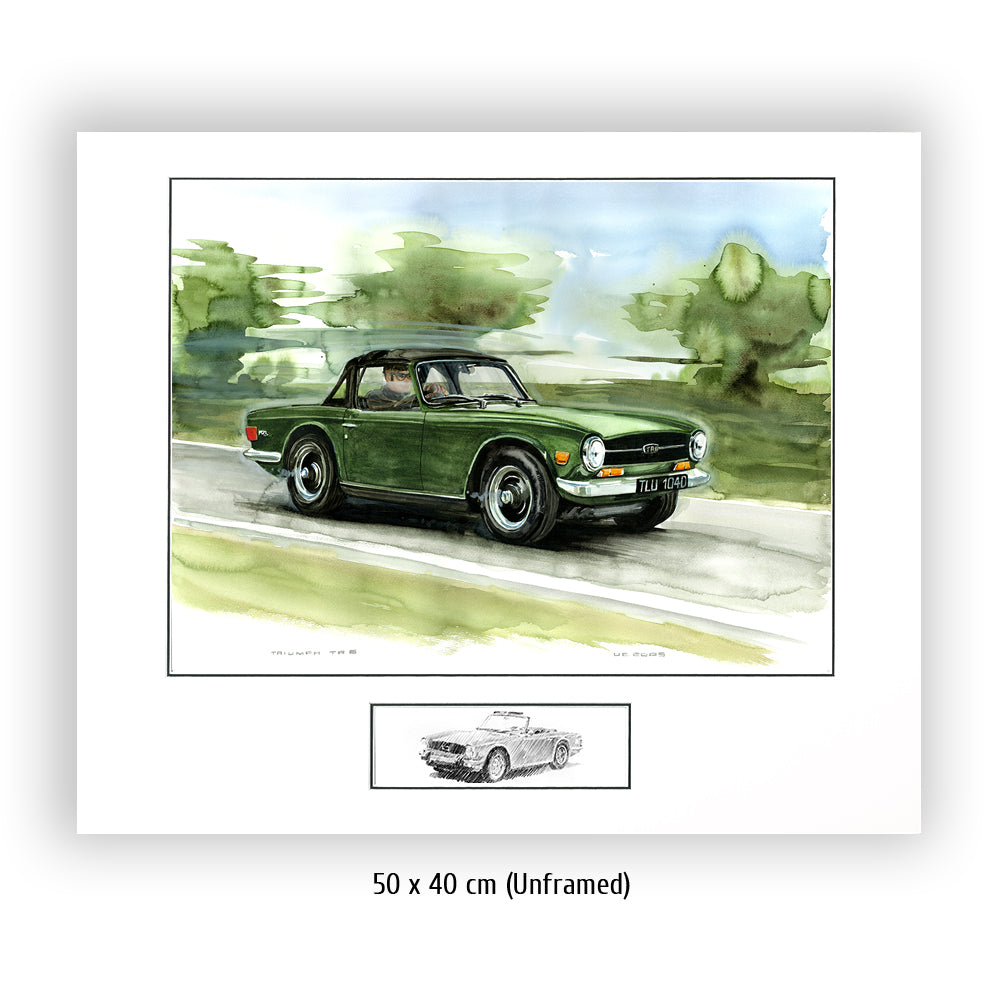 #0065 Triomphe TR6