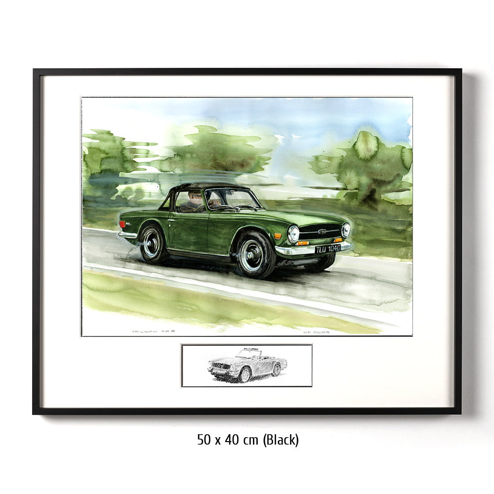 #0065 Triomphe TR6