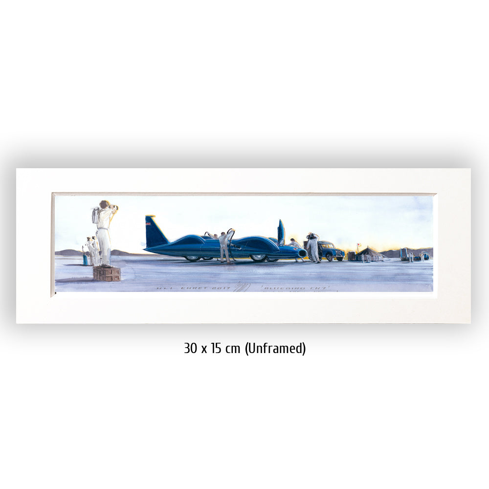 #0692 Oiseau bleu CN7