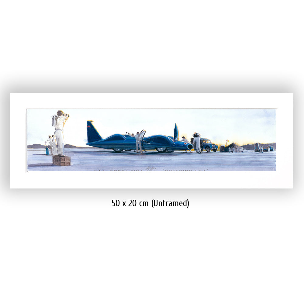 #0692 Oiseau bleu CN7