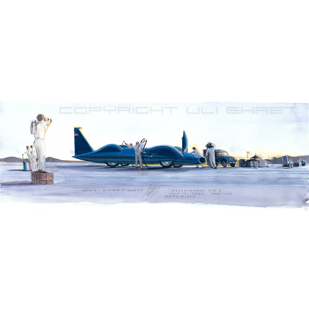 #0692 Oiseau bleu CN7