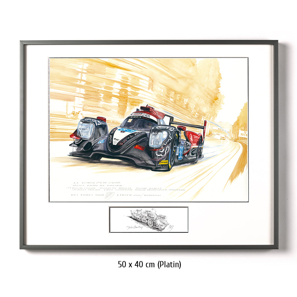 #0738 'Jackie Chan DC Racing #33'
