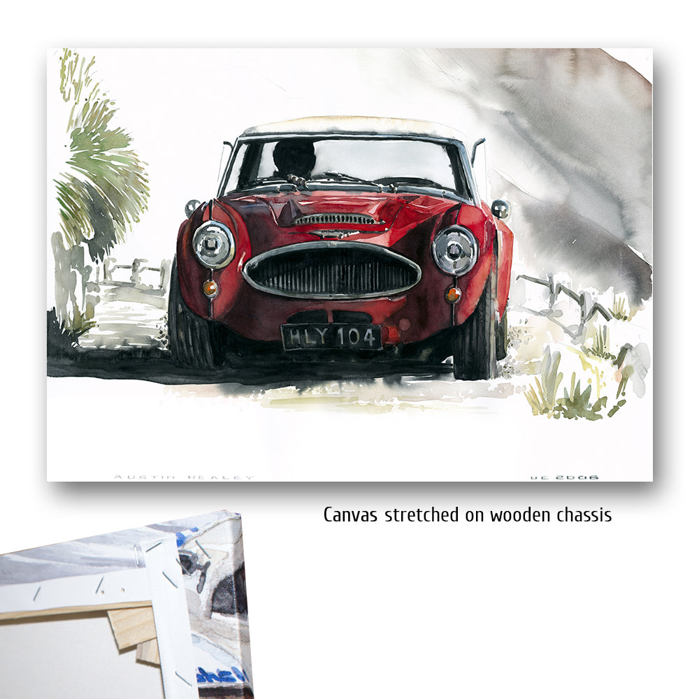 #0075Austin Healey 3000