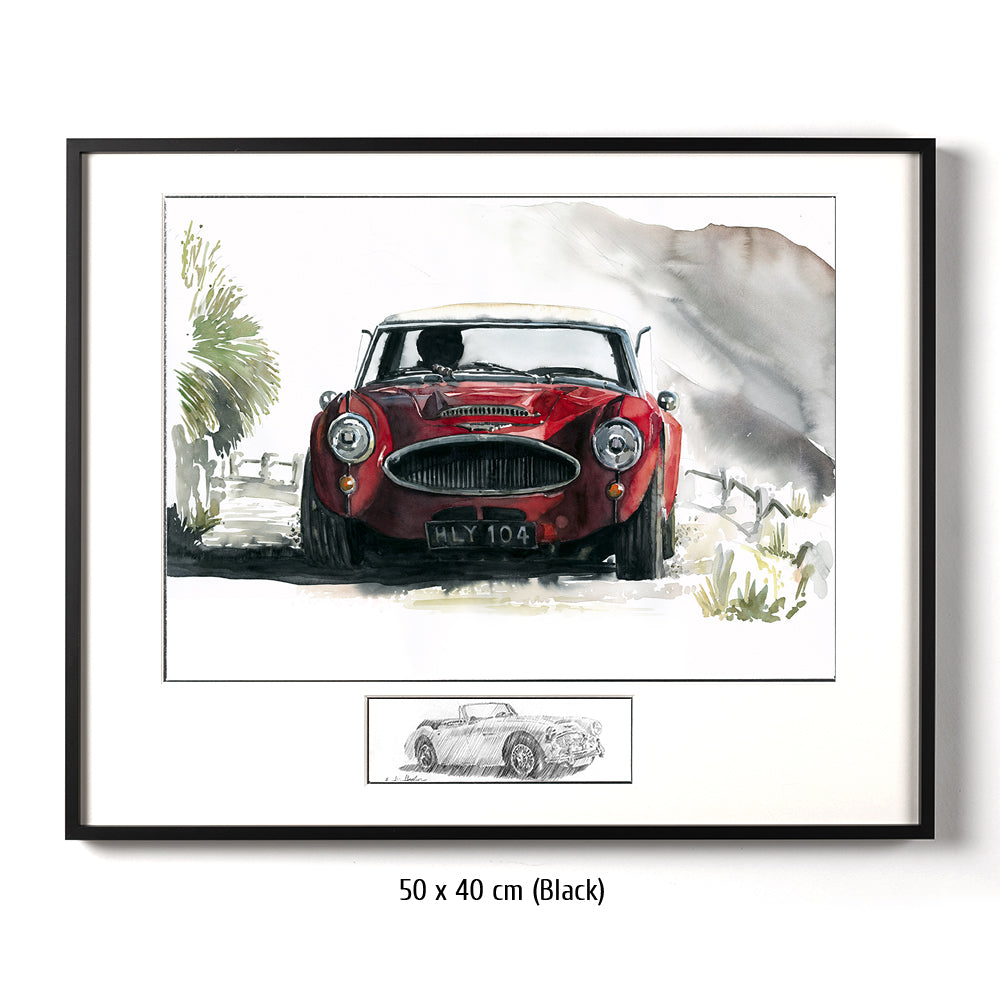#0075Austin Healey 3000