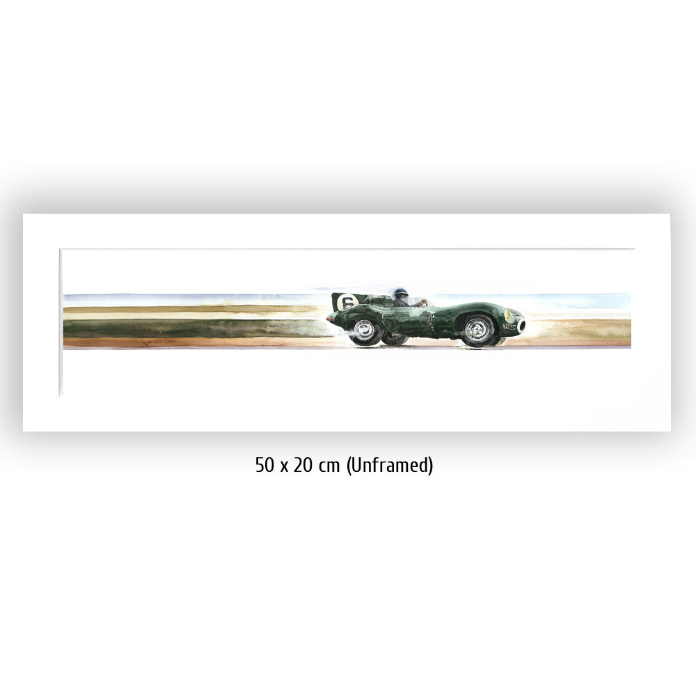 #0084XS Jaguar Type D