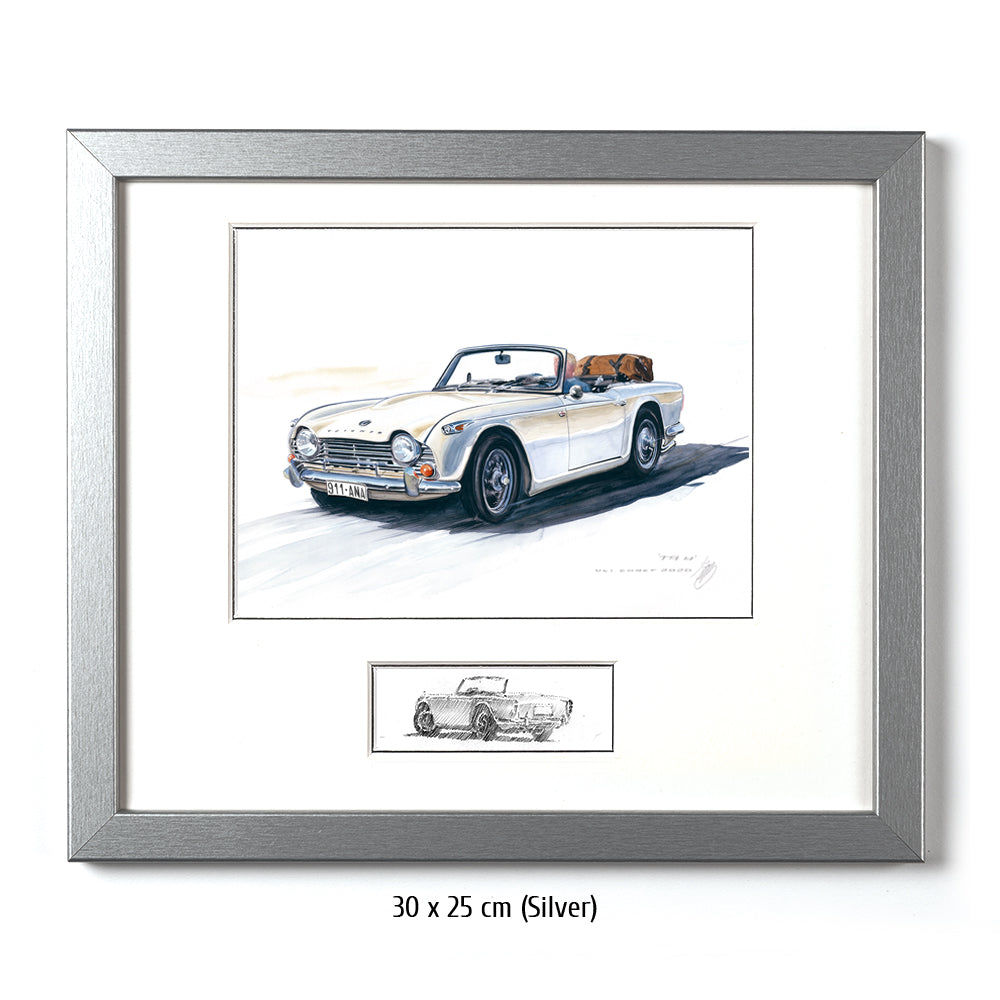 #0873 Triomphe TR4