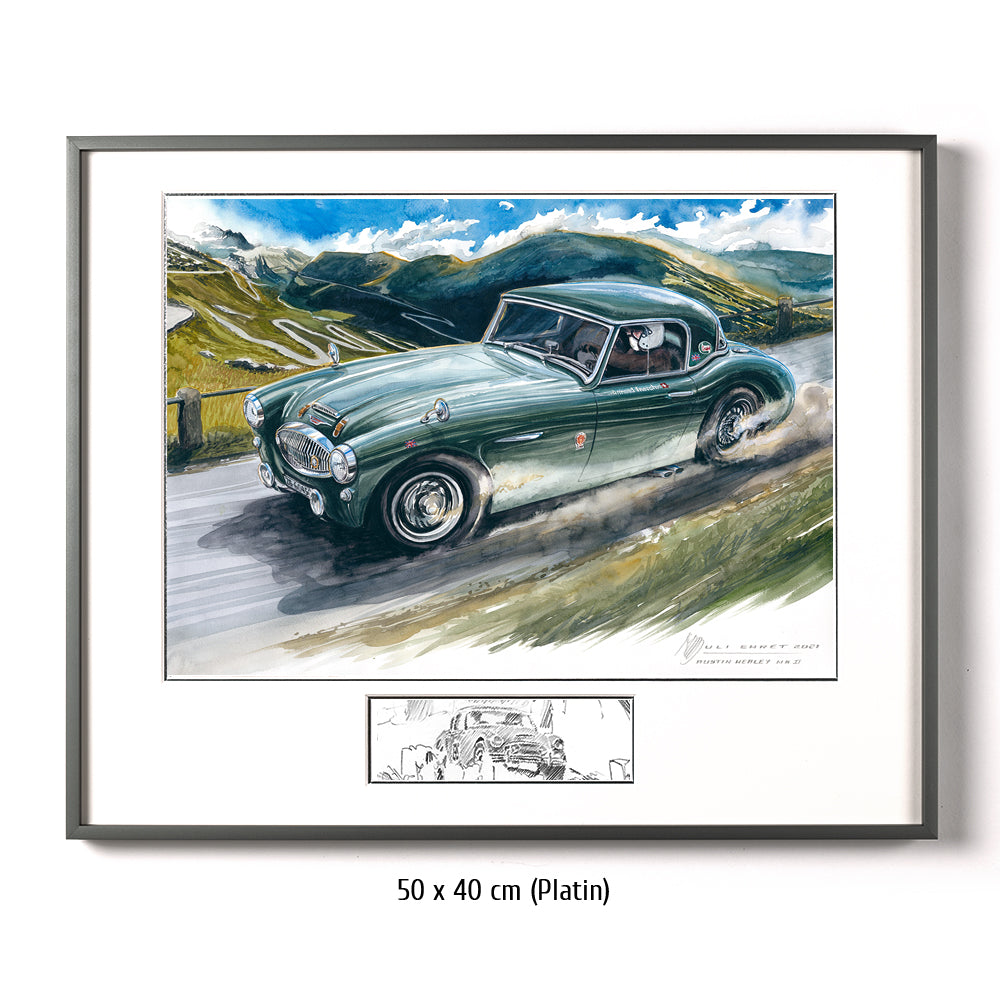 #0956 Austin Healey, MKII