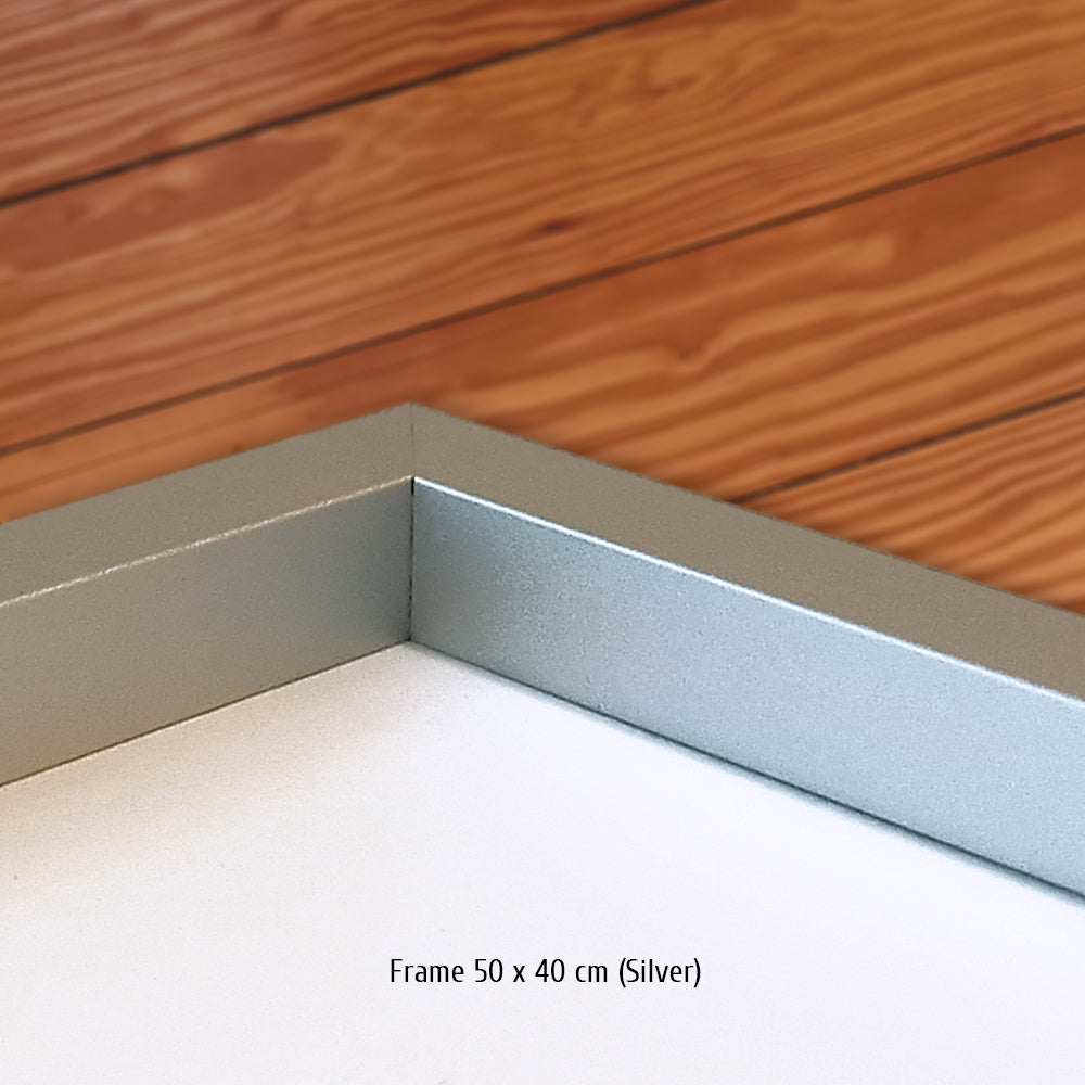 #0653 « Fuji 6h 2012 »