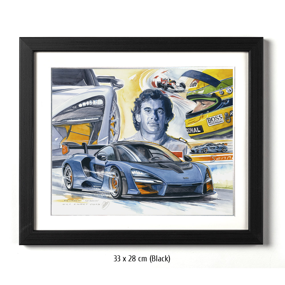 #0807 McLaren « Senna »