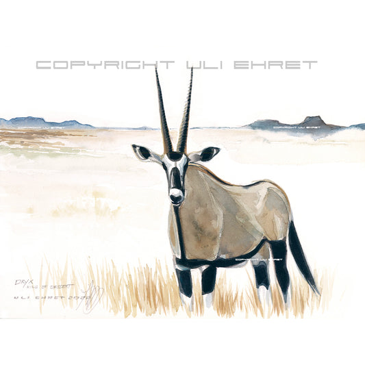 #1026 'Oryx'