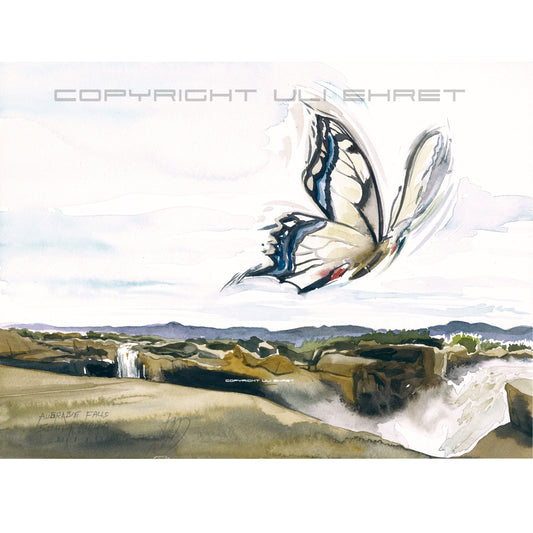 #1031 Chutes d'Augrabie