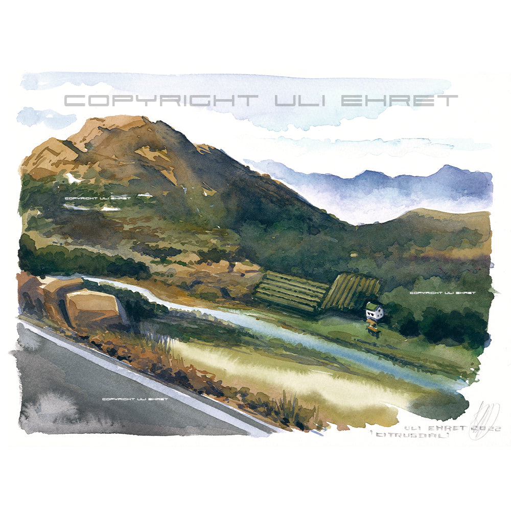 #1032 Vallée des agrumes