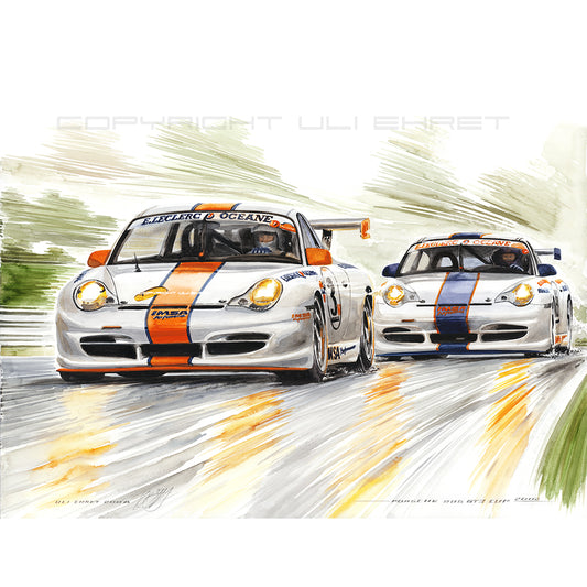 #0172 Porsche 996 GT3 Coupe 2002