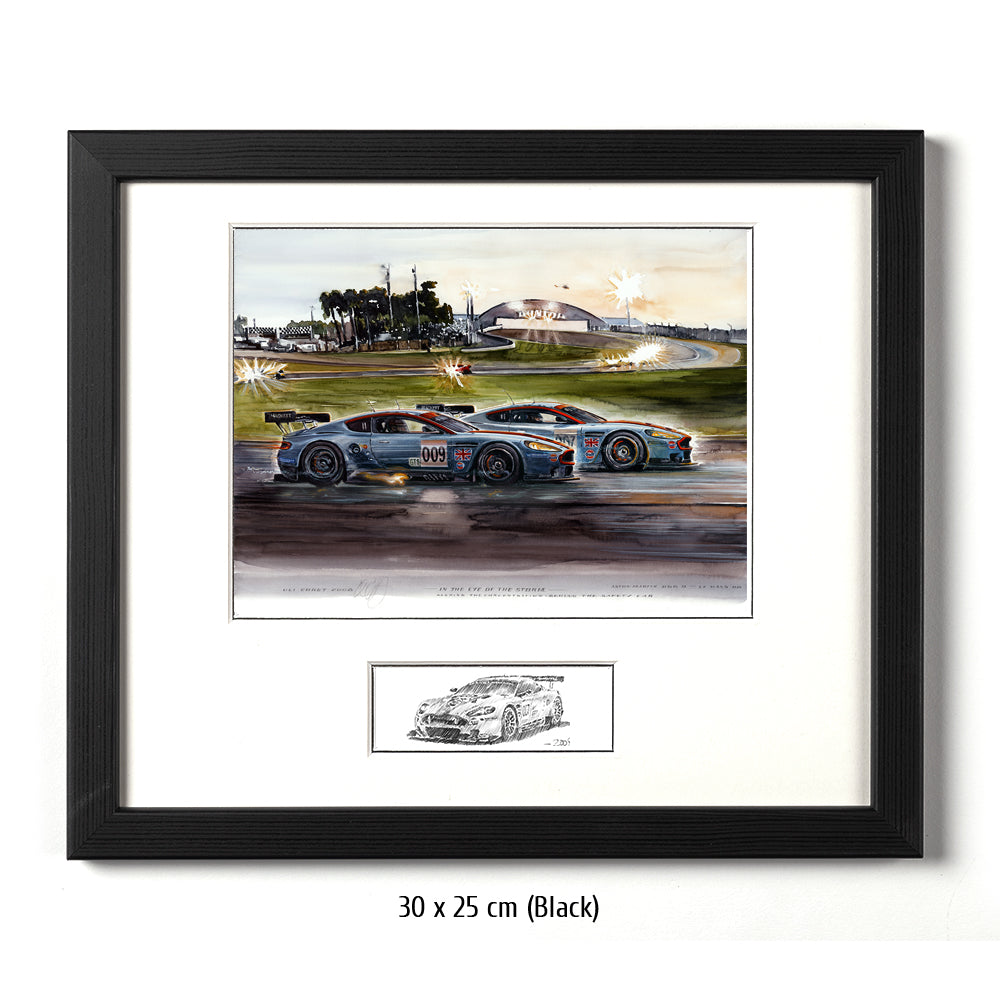 #0190 Aston Martin DBR9, "Dans l'oeil du cyclone"