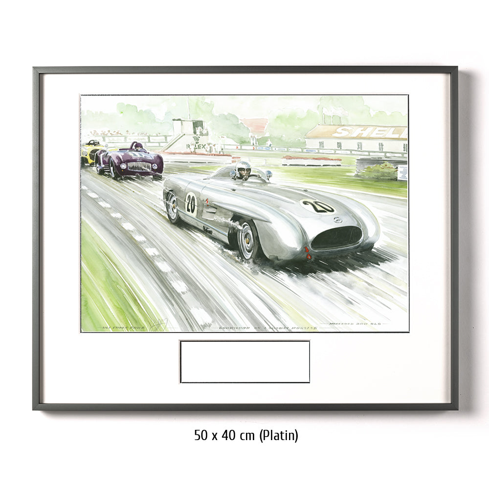 #0195 Mercedes Benz SLS 'Porter', 'Goodwood un dimanche matin'