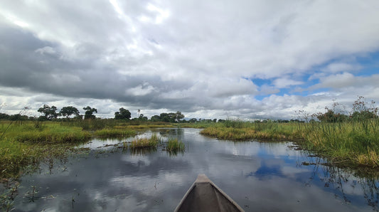 L1015 Mokoro Drive - Croisière en pirogue dans le delta de l'Okavango