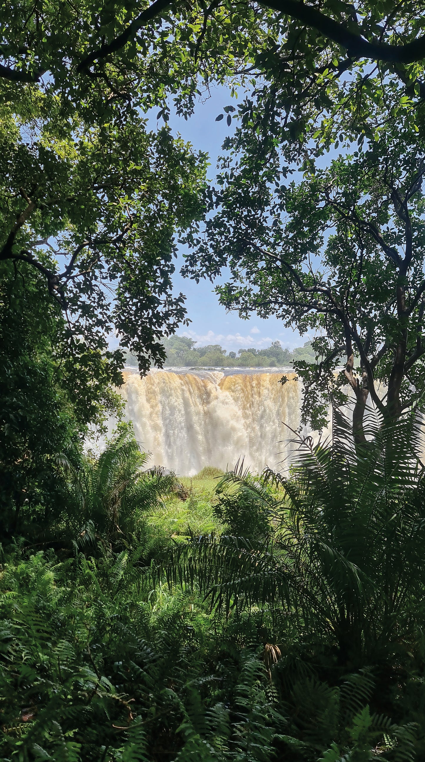 L1012 Les chutes Victoria près de Livingstone, Zambie