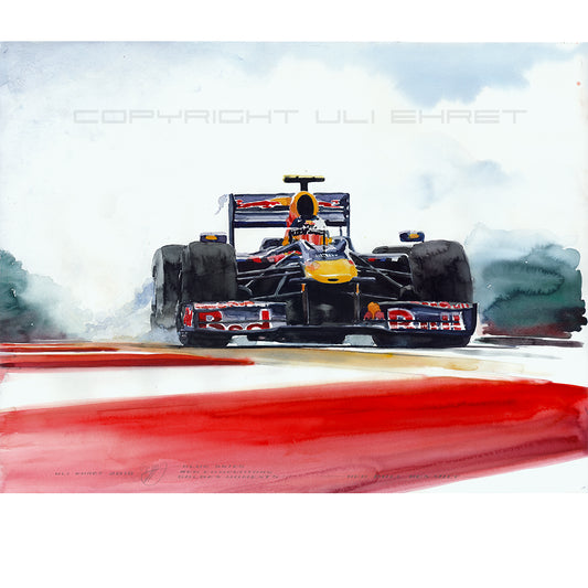 #0287 Red Bull Renault F1 2010 de Sebastian Vettel 