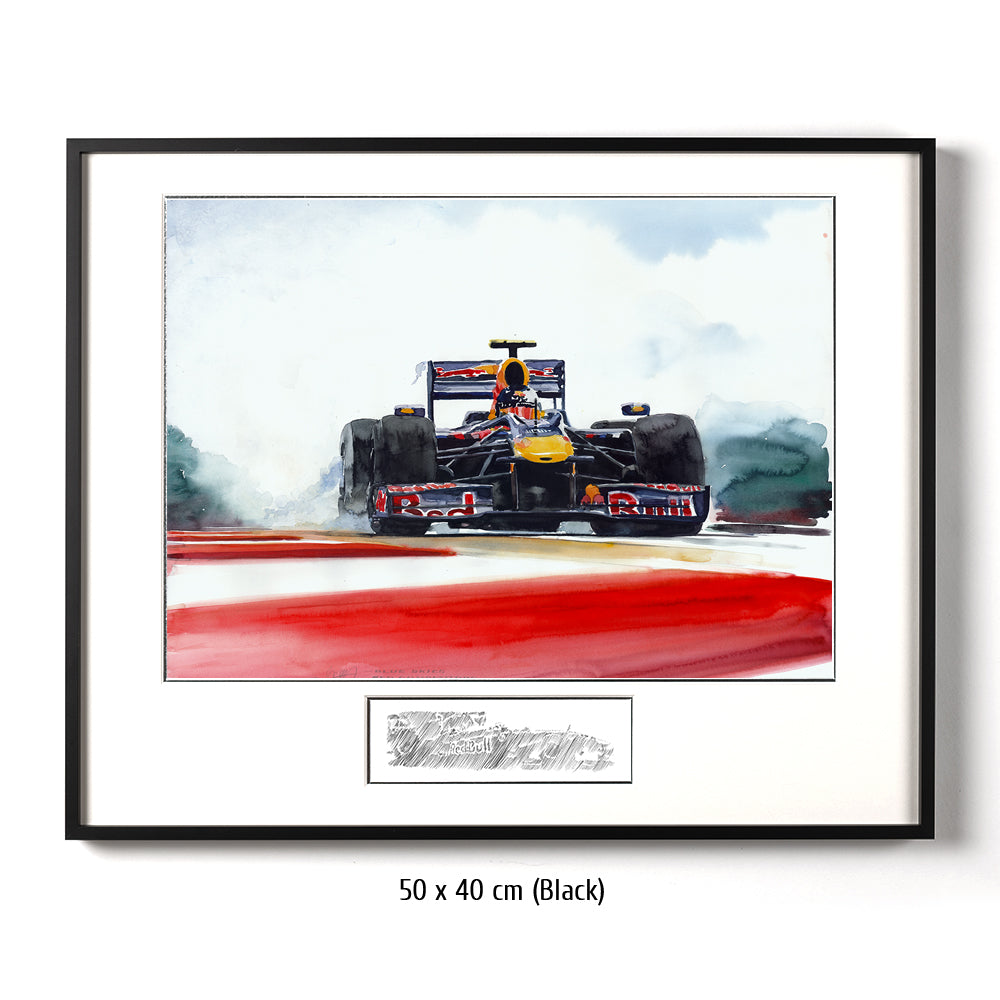 #0287 Red Bull Renault F1 2010 de Sebastian Vettel 