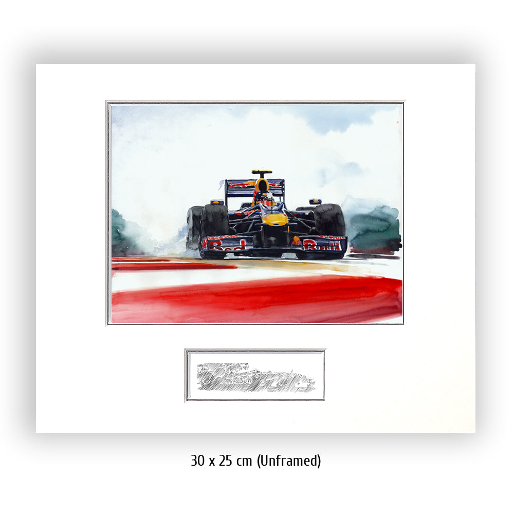 #0287 Red Bull Renault F1 2010 de Sebastian Vettel 