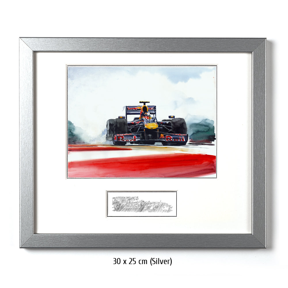 #0287 Red Bull Renault F1 2010 de Sebastian Vettel 