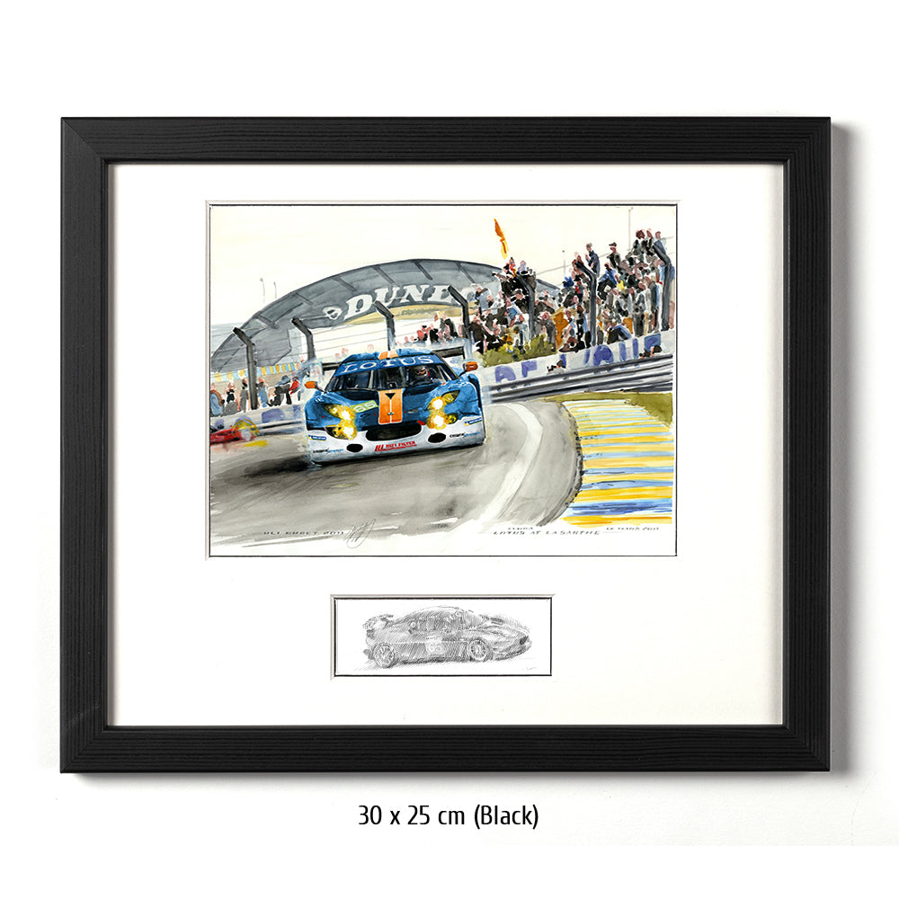 #0331 Lotus à La Sarthe