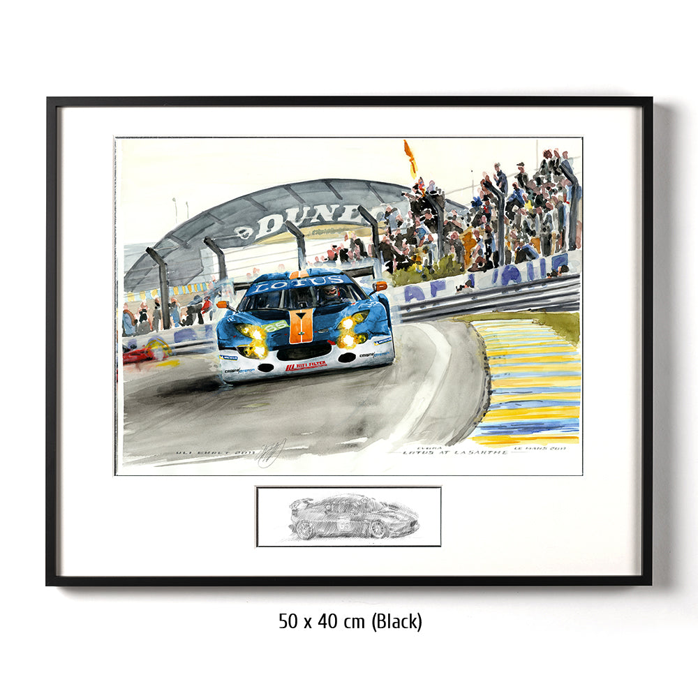 #0331 Lotus à La Sarthe