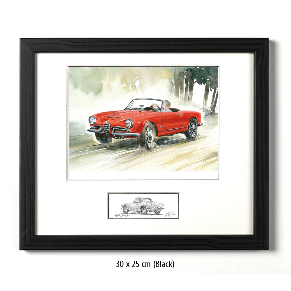 #0430A Alfa Romeo Giulia Araignée