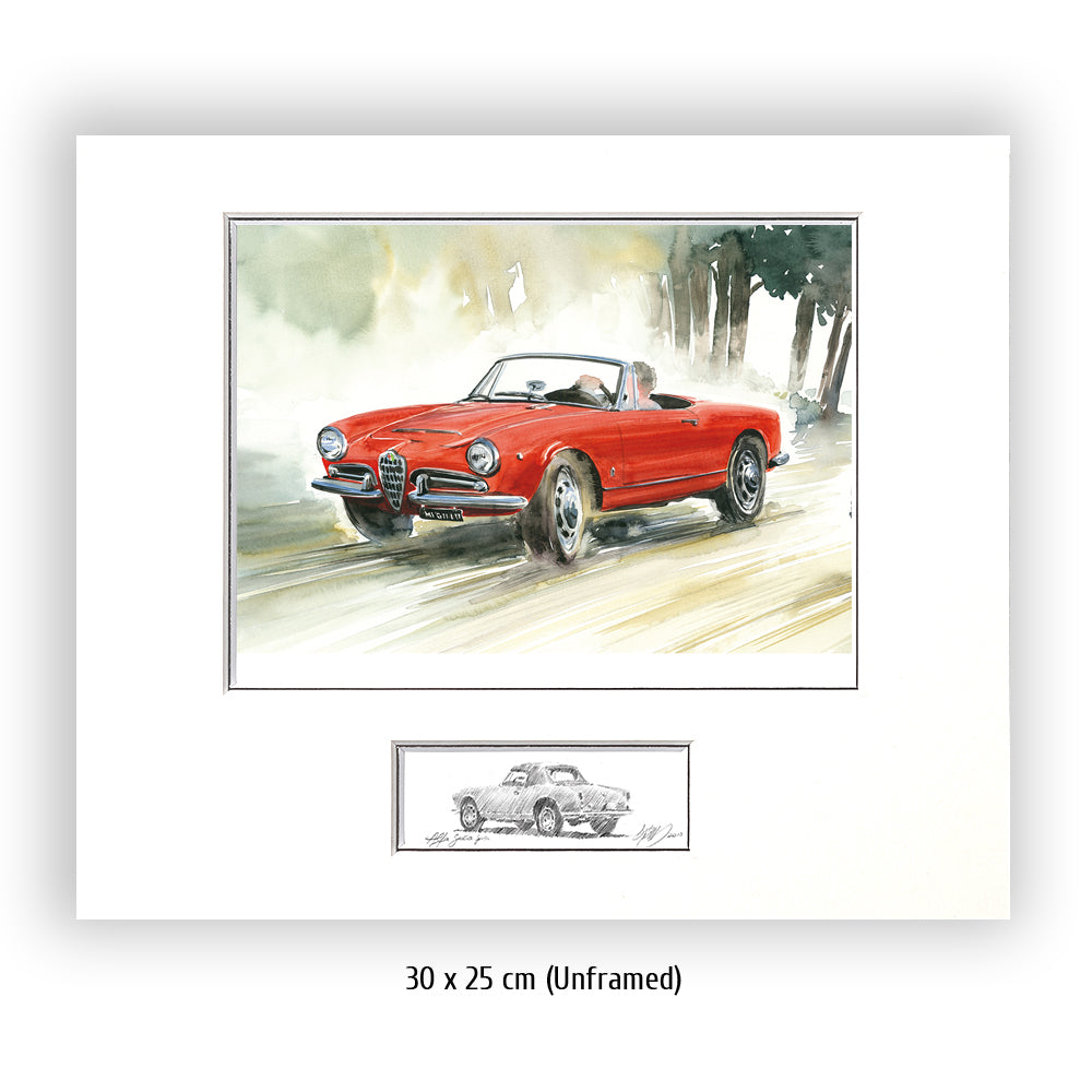 #0430A Alfa Romeo Giulia Araignée