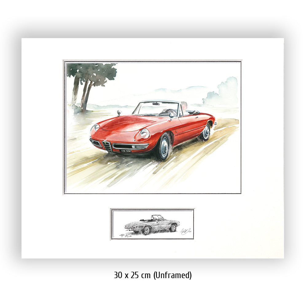 #0430B Alfa Romeo Dueto Araignée
