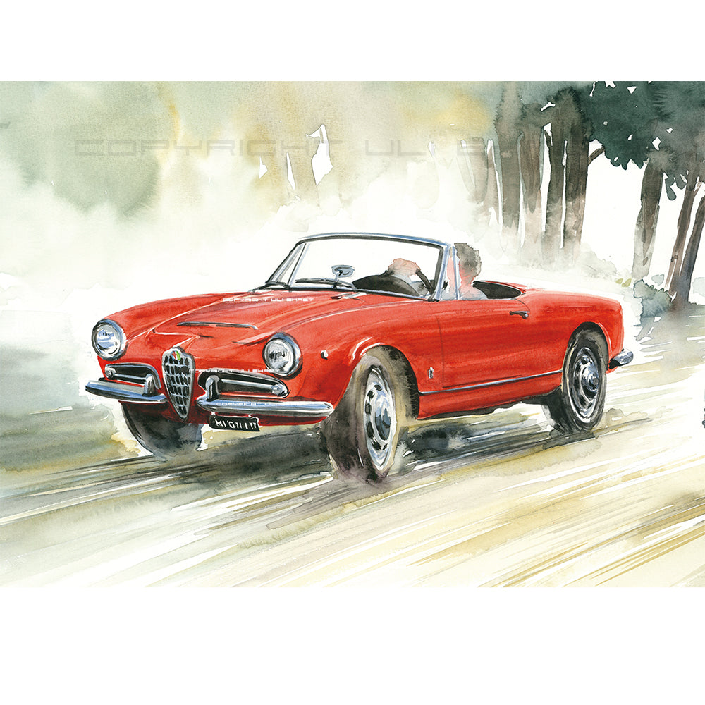 #0430A Alfa Romeo Giulia Araignée
