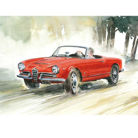 #0430A Alfa Romeo Giulia Araignée