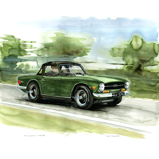 #0065 Triomphe TR6