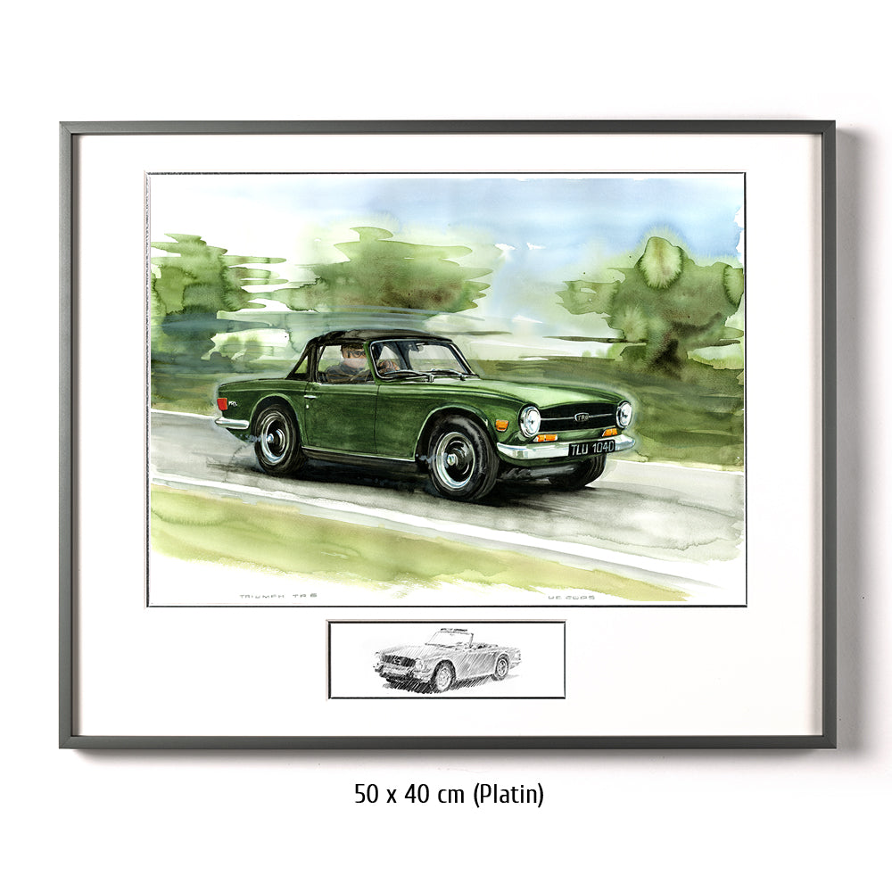 #0065 Triomphe TR6