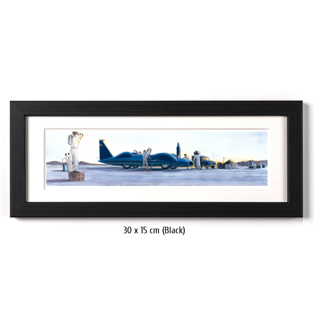 #0692 Oiseau bleu CN7